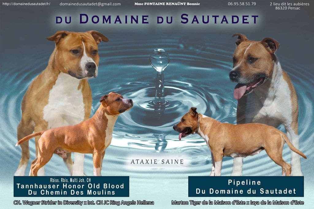 Des bébés très attendus